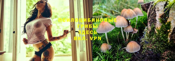 COCAINE Алзамай