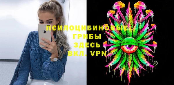 ешки Алексин