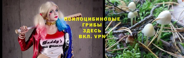 ешки Алексин