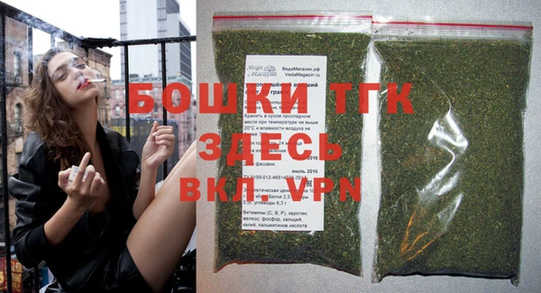 ешки Алексин
