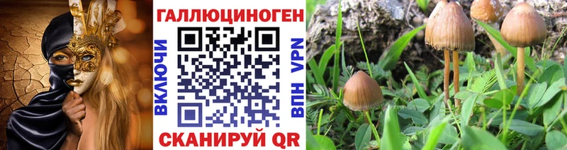 Псилоцибиновые грибы Psilocybine cubensis  Коряжма 