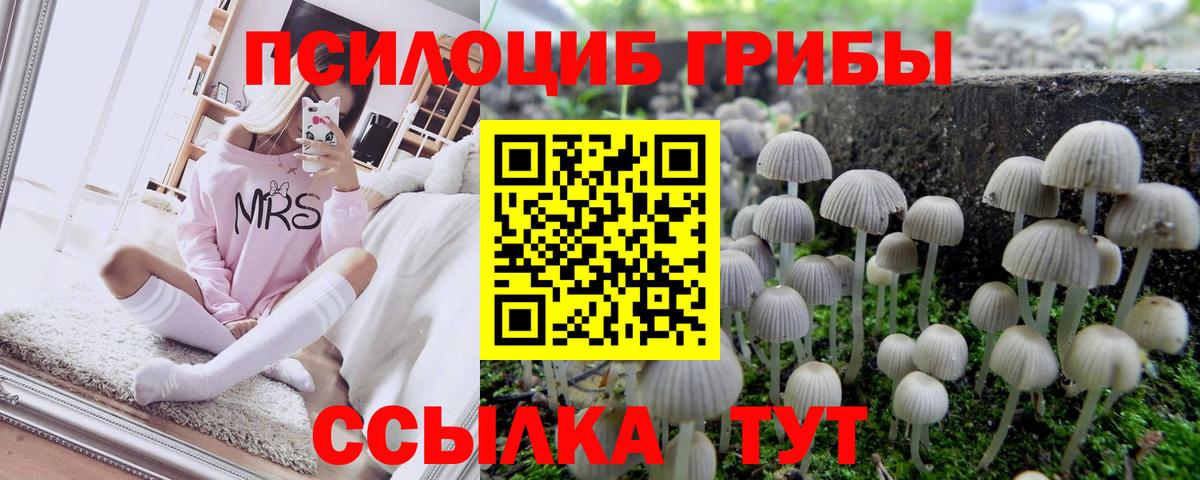 Псилоцибиновые грибы прущие грибы Коряжма