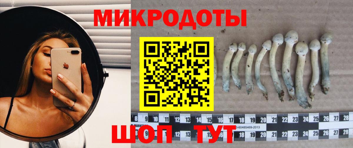Псилоцибиновые грибы MAGIC MUSHROOMS  Вход с VPN  Коряжма  даркнет сайт  Псилоцибиновые грибы прущие грибы 